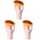3Stk. Make-up- Für Foundation, Tragbar, Für 4