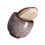 Ceramic Dip Powder Jar Multi-Function Tea Holder and Nail Art Tool 6