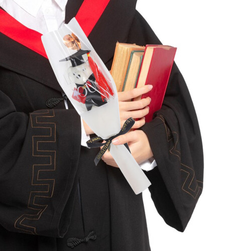 Graduation Bear Puppe , Plüschbär Für Abschlussfeier Geschenk 2