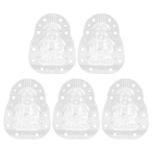 5 Unidades Modelagem Legumes Transparente Para Ginseng 2