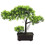 Árvore Bonsai Artificial Vaso Decoração De Planta 7