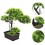 Árvore Bonsai Artificial Vaso Decoração De Planta 10