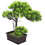 Árvore Bonsai Artificial Vaso Decoração De Planta 4
