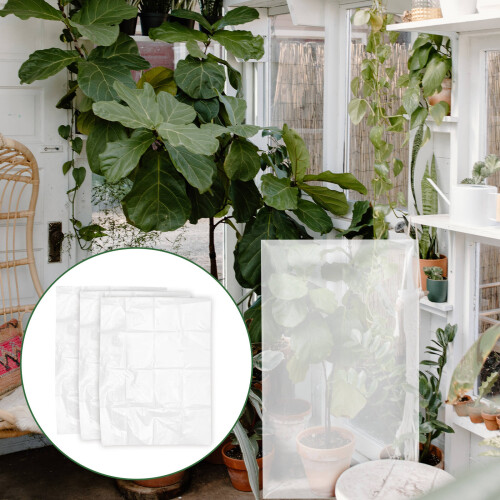 3 Unidades Transparente Para Plantas 2