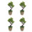 2 Unidades Árvore De Bonsai Artificial Vaso Planta 5