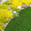2 Unidades Artificial Verde Para Decoración Hogar Patio 3
