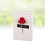 Invitación Con Flores En 5