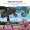 Set Monocolo Visione Notturna 80X100 Con E Clip Telefono 8