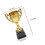 2 Per Studenti Decorazione Cerimonia Premiazione 2