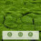 Tappeto Simulata Decorazione 11