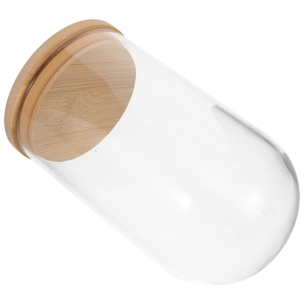 2 Sztury SłOje Do RozmnażAnia RośLin Z Drewnianą Podstawą-image