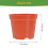 30St Plastic Rond Voor En Binnenplant Hobby 2