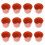 30St Plastic Rond Voor En Binnenplant Hobby 6