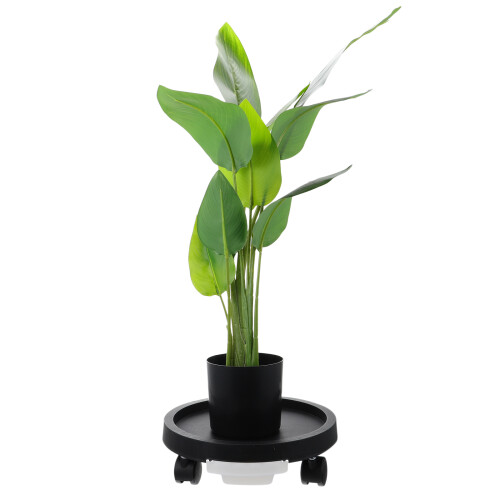 1 De Plástica Universal Para Bonsai Com 2