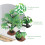 3Pcs De Árvore De De Paisagem Micro 8