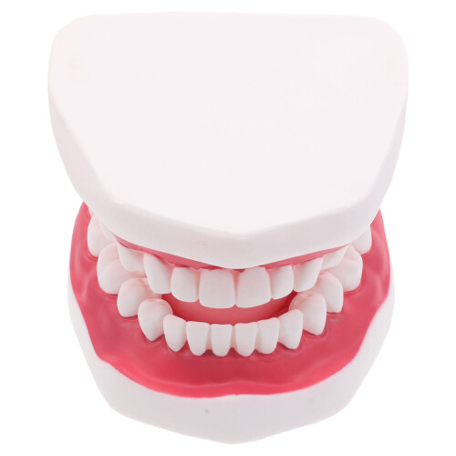 2 Pcs Dente com Língua para e 1