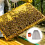 1Chapeau Apiculteur Polyester Protection Complète 6