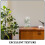 2Pcs Frascos Para Propagação De Plantas Com Base De Madeira 11