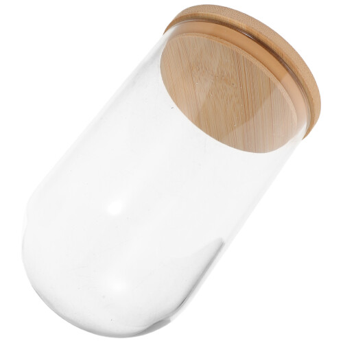 2Pcs Frascos Para Propagação De Plantas Com Base De Madeira 1