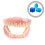 4Pcs Professional Denture Storage Case Blue ABS PP Holder for Daily 7