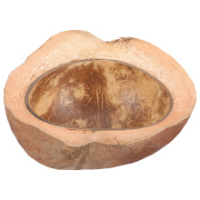 Cokernootschelp Kom Natuurlijke Serveerschaal Voor Dessert En Fruit