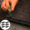 6 Unidades Bandejas Para Germinación Con 6
