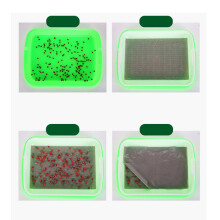 Germinadora PP Alimenticio 35X26X5Cm