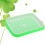Germinadora PP Alimenticio 35X26X5Cm 6