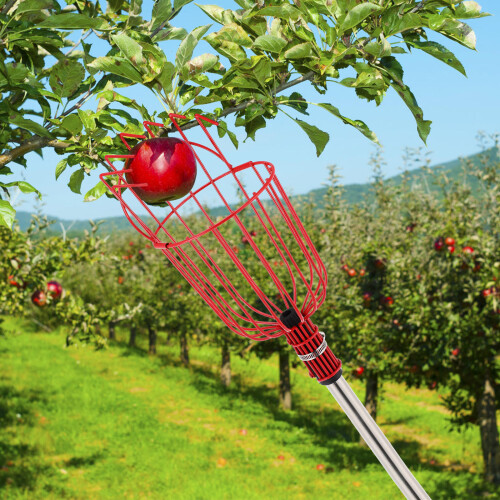 Ensemble Cueille-Fruit À Manche Réglable Avec Panier Pour Oranges 2