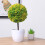 Artificielle En Pour Maison Jardin 5