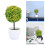 Artificielle En Pour Maison Jardin 6