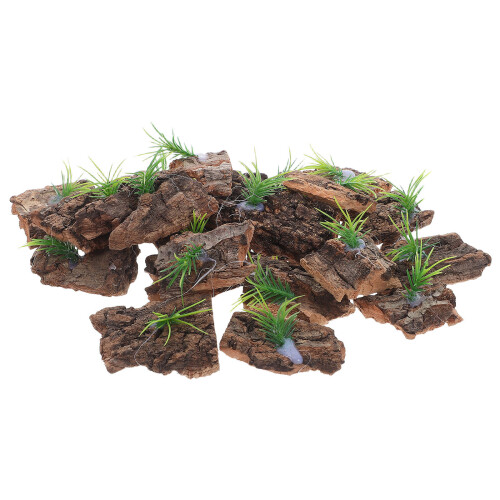 80 Corteccia Naturale Per Rettili E 1