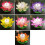6 Pezzi Lanterna Galleggiante LED 11,5 Cm a Forma 9