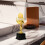 Trophy Ballo Per E Ragazze Premio Facile Trasportare 5