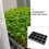 5 Unidades Bandejas Para Plantas Placas 11