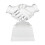 Troféu De Transparente Para Prêmio 3