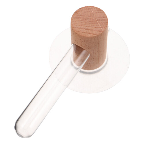 3Pcs De Propagação Plantas Com Suporte 1