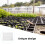 De Lona Transparente Impermeável De PE Para Plantas 11