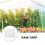 De Lona Transparente Impermeável De PE Para Plantas 7