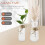 2 Sets Glazen Hydrocultuur Met Plantencontainers 7