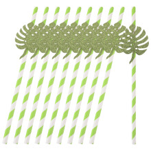 10St Lange Papieren Rietjes Voor Feest En Summer Party