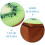 Creative Range Kiwi Petit Coffre Rangement Pliable Forme Fruit 8