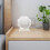 Blank Decorativo Per Concorsi E Celebrazioni 5
