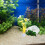 8 Unidades Para Terrário, Miniatura , Grama 5