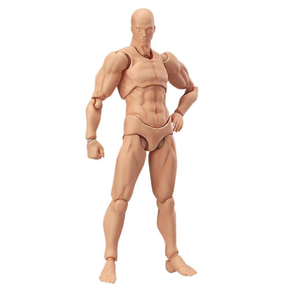 Articulated Mannequins Human Body Models Pvc Movable Action Figure Models Gifts 9022594248911
