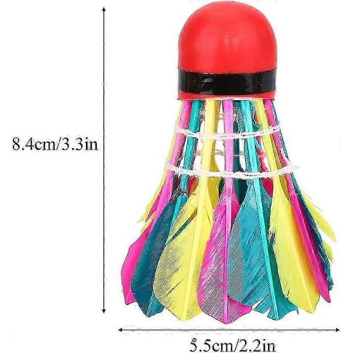 Shuttlecock, 11 τεμάχια πολύχρωμες μπάλες μπάντμιντον υψηλής ταχύτητας με φτερά, σ 1
