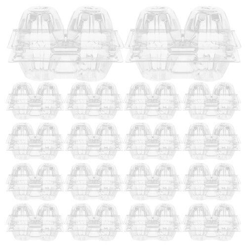 100 Stuks 2-Vakjes Transparant Eierdozen voor Kippenei
