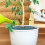De Para Plantas, De Solo 3