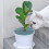 De Para Plantas, De Solo 9