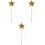 3 Star Fee Staf MetLint Cosplay 5